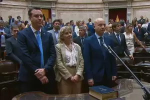 Catamarca renov sus bancas: Palladino, Brizuela y Monguillot juraron en Diputados