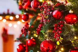 Navidad 2025: cunto cuesta armar el arbolito y por qu lo importado desde Shein o Temu gana terreno