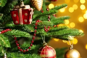 La tradicin del rbol de Navidad en Argentina: por qu se arma hoy