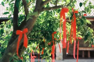 Por qu recomiendan colgar cintitas rojas en los rboles?