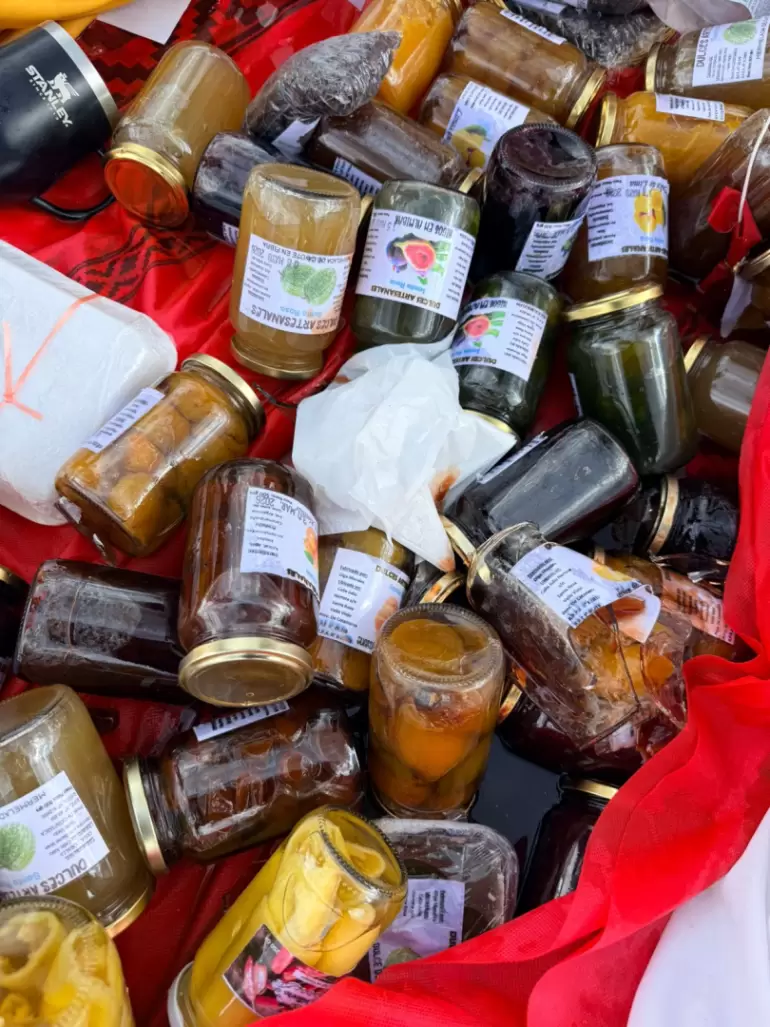 temporal predio destrozos