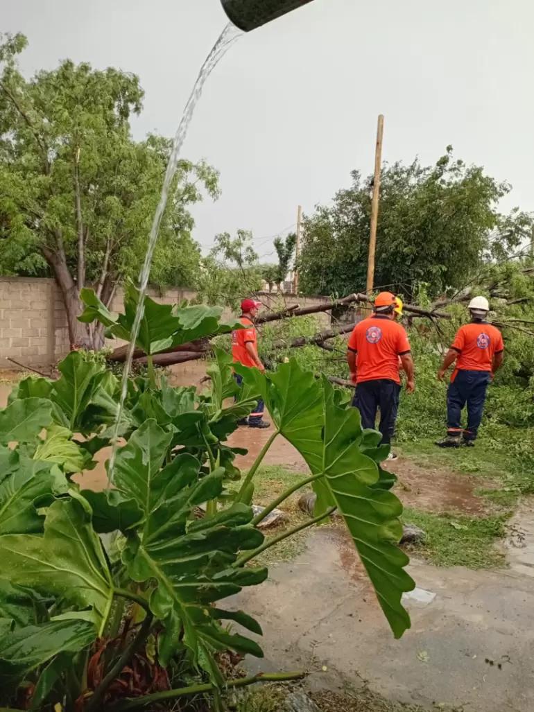 temporal en valle viejo