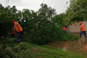 Valle Viejo en alerta: calles anegadas, rboles cados y asistencia a familias