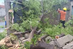 El temporal azot ocho departamentos: operativo integral de asistencia para mitigar daos