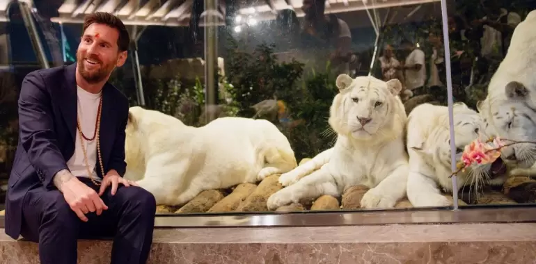 messi india animales