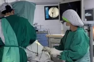 Catamarca alcanz� cifras r�cord en donaci�n y trasplante de �rganos y tejidos durante 2025