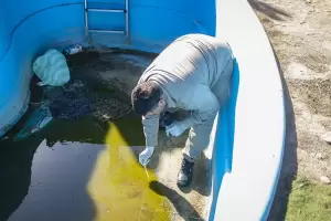 Salud realiz� prevenci�n de Dengue en m�s de 60 mil viviendas durante 2025