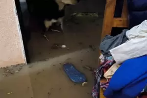 Navidad bajo el agua: fuerte temporal provoc� graves da�os en La Paz