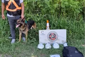 Incautaron casi dos kilos de marihuana durante un control en Catamarca