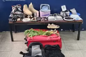Catamarca: secuestraron una valija abandonada con una planta de marihuana
