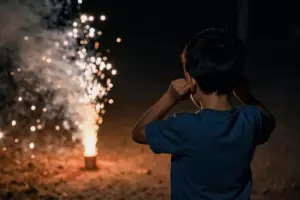 La Capital refuerza la prohibici�n del uso de pirotecnia sonora: �d�nde denunciar?