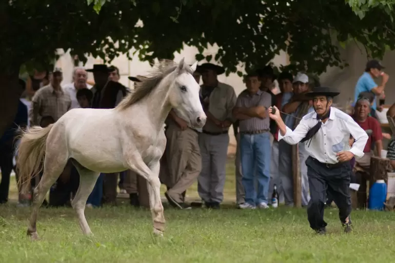 verano 2026 destrezas gauchas
