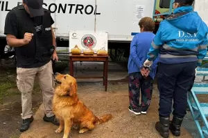 Cay� la "narcoabuela" en Catamarca: secuestraron m�s de 3 kilos de marihuana