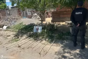 Narcotr�fico en Catamarca: secuestraron m�s de 80 plantas de marihuana