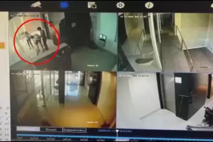 Aberrante: un hombre golpe� salvajemente a un perro frente a su due�a y a sus hijas