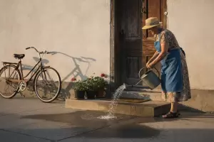 El truco que usan en Jap�n para refrescar la entrada de la casa en d�as de calor extremo