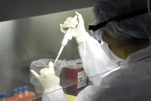 Detectan la "supergripe" H3N2 en ocho provincias: el 30% de los casos termin� en internaci�n