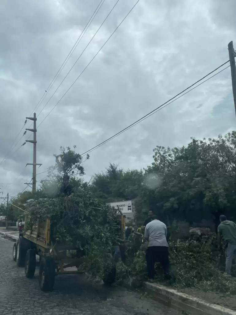 esquiu la paz temporal asistencia