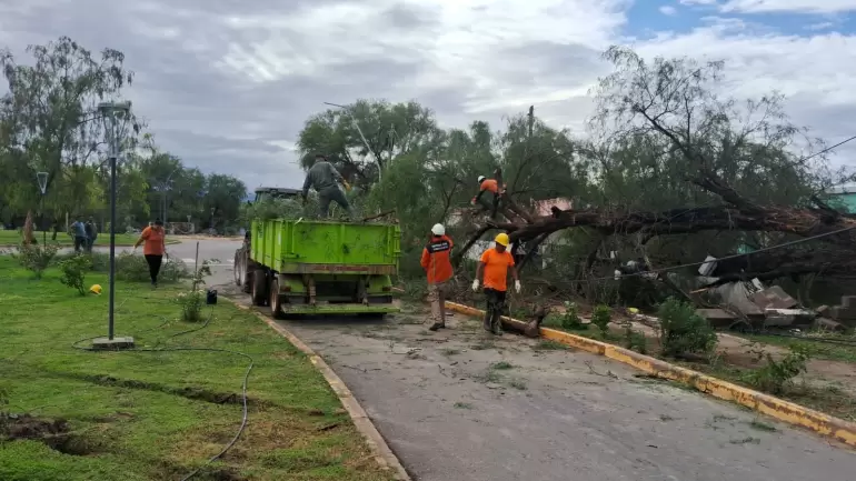 tinogasta temporal asistencia