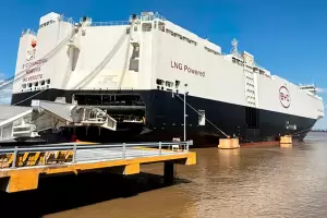 Arrib� el barco chino de la pol�mica: descarg� casi 5.800 autos h�bridos y el�ctricos