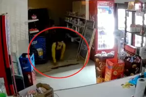 Incre�ble: entr� gateando y rob� cigarrillos, vodka en un almac�n y fue grabado