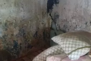 Catamarca: Detectan explotaci�n laboral en un establecimiento rural de Ancasti