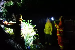 Catamarca despu�s del temporal: viviendas anegadas, �rboles ca�dos y da�os en rutas