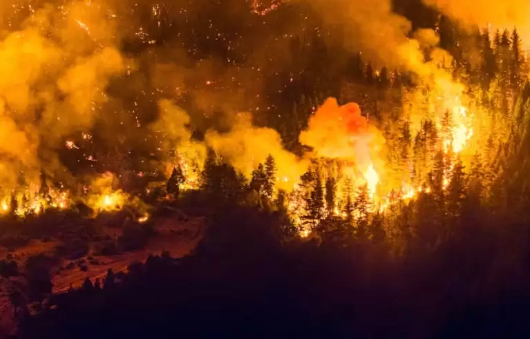 chubut incendios drama