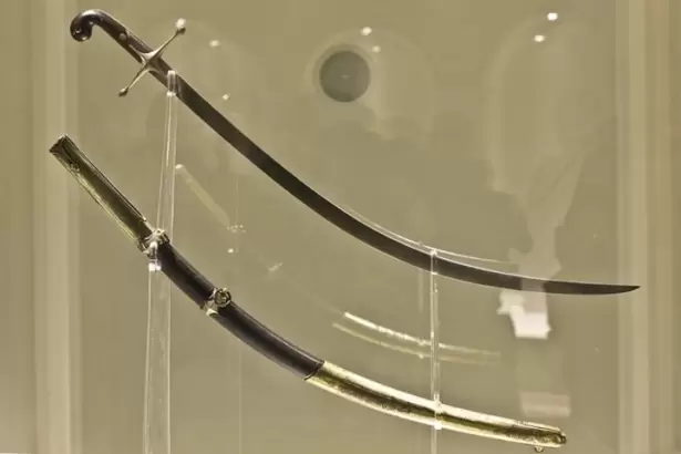 Guerra por el Sable: la directora del Museo dej� su cargo en rechazo a Milei