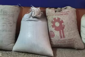 Recuperan elementos robados en Santa Rosa