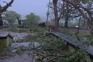 Caos en Ancasti: el temporal arranc� �rboles de ra�z y bloque� accesos