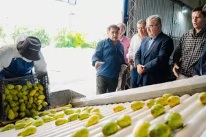 Catamarca se prepara para realizar su primera exportaci�n de tuna a Europa