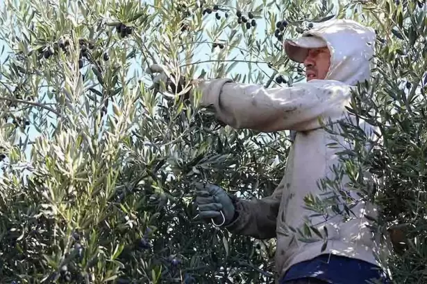 Trabajadores catamarque�os denuncian que fueron abandonados en una finca de La Rioja tras promesas incumplidas