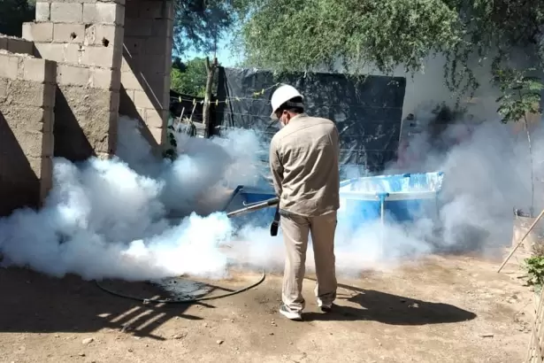 Dengue: cu�ndo se fumiga y por qu� debe acompa�arse con la eliminaci�n de criaderos
