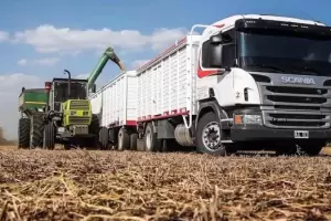 El Gobierno centraliza el traslado de granos en el SISA y elimina tr�mites para la agroindustria
