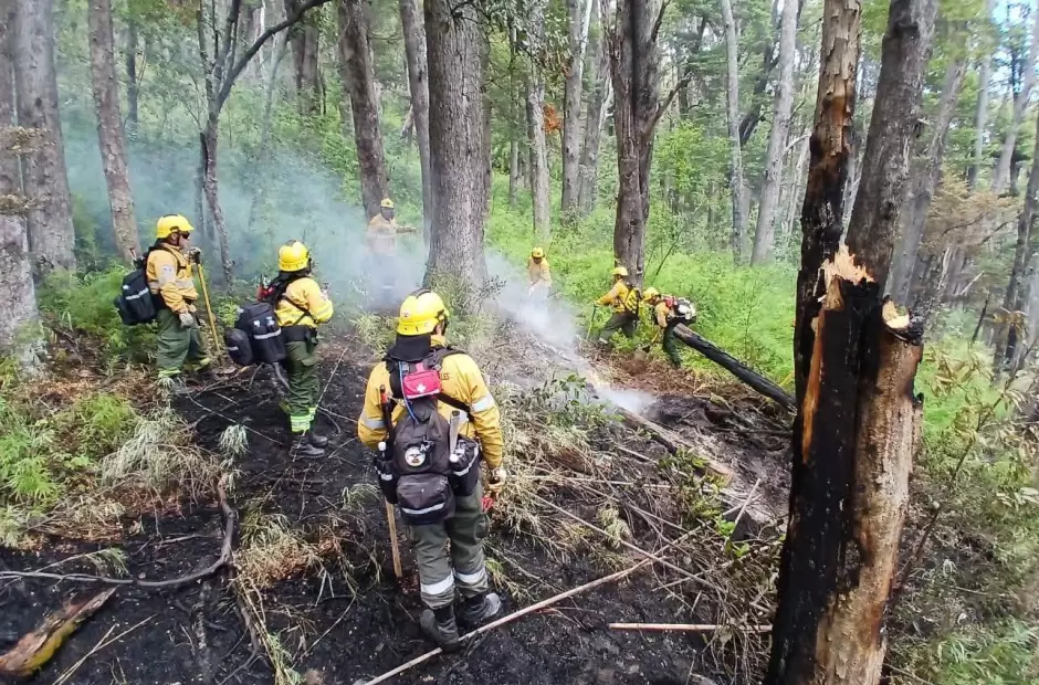 Catamarca refuerza el combate contra el fuego en el Parque Nacional Los Alerces
