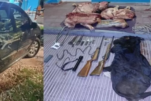 Capay�n: tres aprehendidos en un campo tras ocultar autos, armas y carne de origen ilegal