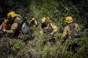 Alivio en la Patagonia: declaran contenido el foco �gneo tras la p�rdida de 16 mil hect�reas