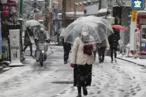 Jap�n bajo cero: una ola de fr�o hist�rica deja decenas de muertos y cientos de heridos