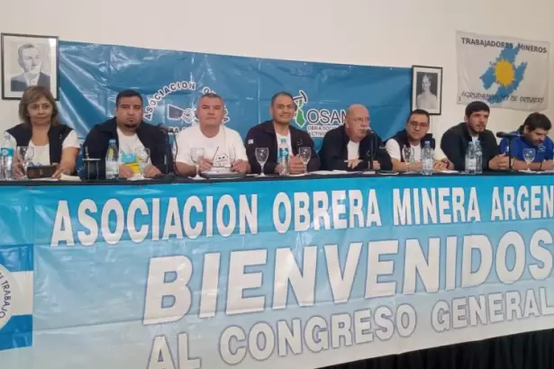 Litio en jaque: paro total de AOMA en el proyecto F�nix