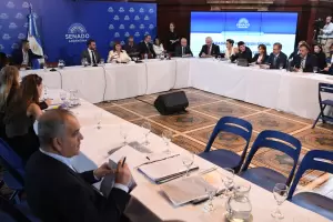 Reforma laboral: el oficialismo obtuvo dictamen expr�s en el Senado y va por la sanci�n definitiva