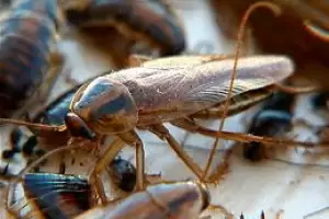 Denuncian que en Catamarca las escuelas no est�n en condiciones de iniciar el ciclo lectivo