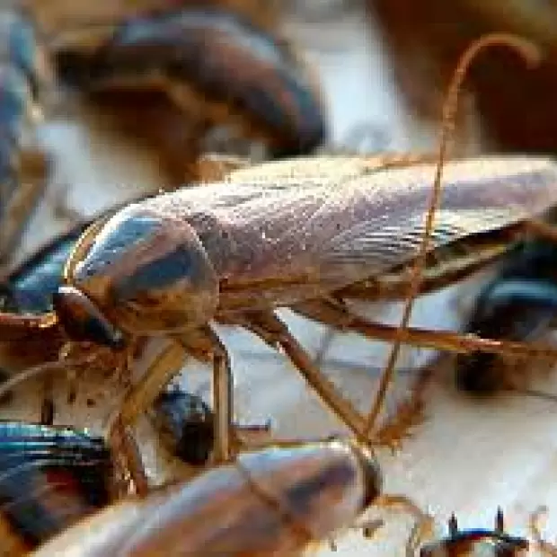 Denuncian que en Catamarca las escuelas no est�n en condiciones de iniciar el ciclo lectivo