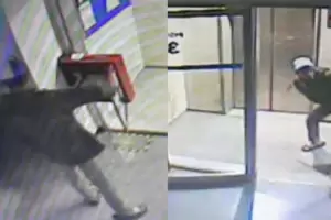 Saqueo en la Secretar�a de Trabajo: roban equipos y piezas de bronce