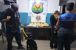 Golpe al narcotr�fico en Catamarca: secuestran m�s de 11 kilos de marihuana en un operativo