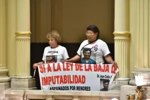 El Senado aprob� la baja de imputabilidad a los 14 a�os y reconfigura el r�gimen penal juvenil