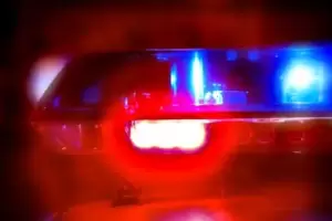 Catamarca: Polic�a result� herida tras atropellar a un perro