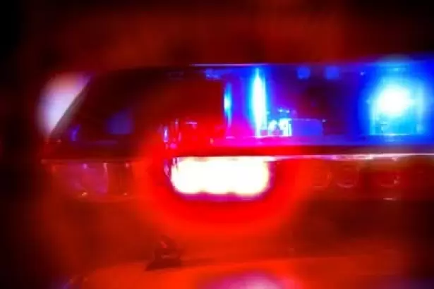 Catamarca: Polic�a result� herida tras atropellar a un perro