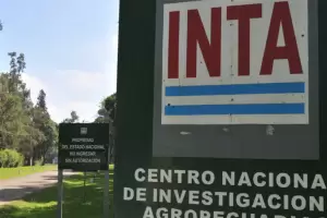 Cierre de la Experimental AMBA del INTA: se interrumpe la asistencia t�cnica en el principal cintur�n hort�cola del pa�s