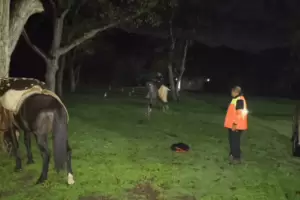 Hallaron sano y salvo a un hombre de 76 a�os que estaba extraviado en la zona serrana de El Tala